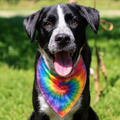 Rainbow Tie-Dye Dog Bandana