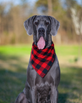 Buffalo Plaid Dog Bandana