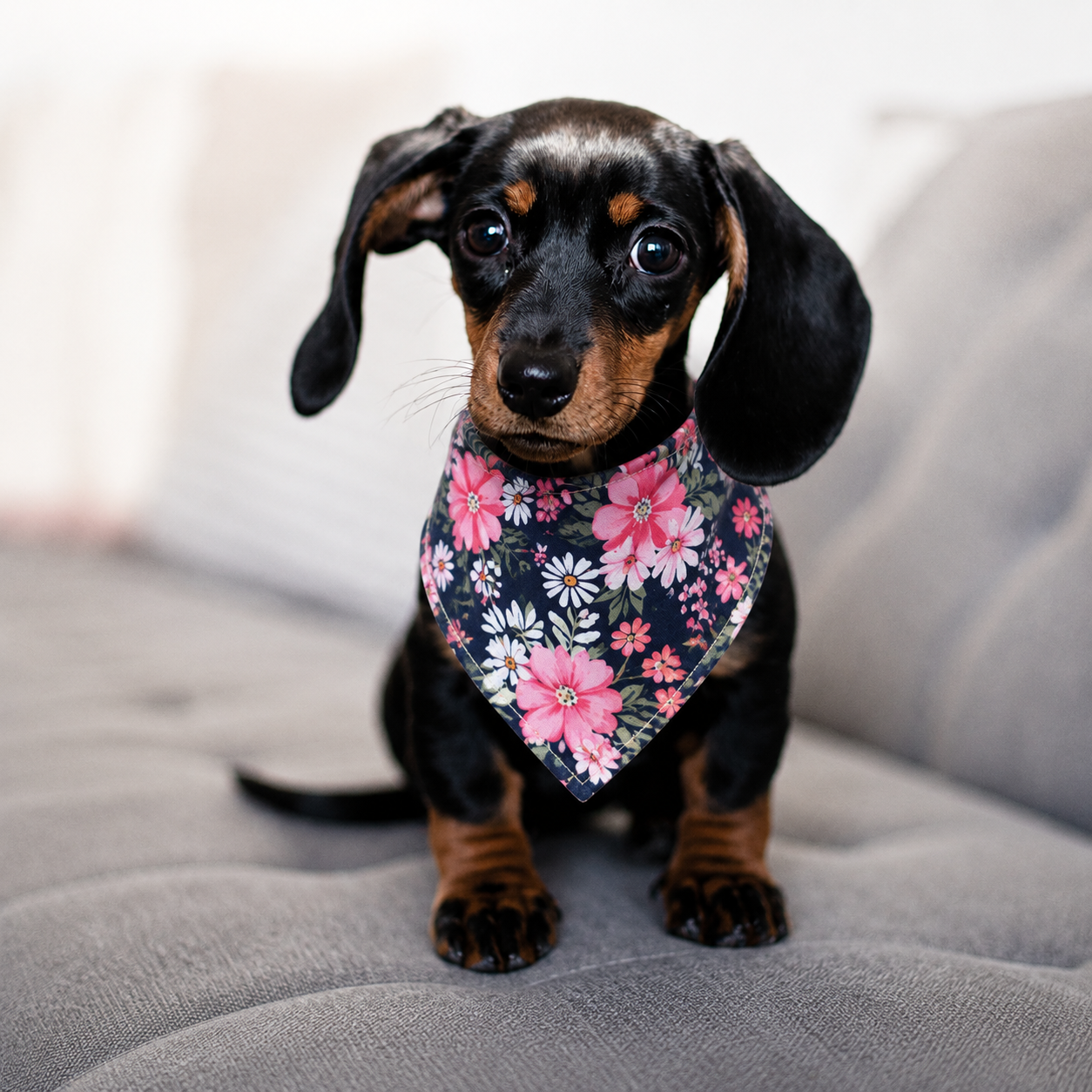 Floral Garden Dog Bandana