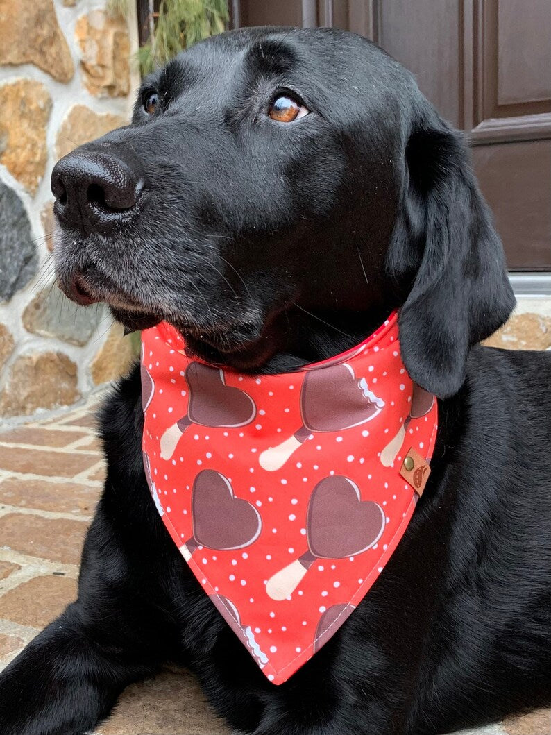 Valentine Hearts Dog Bandana